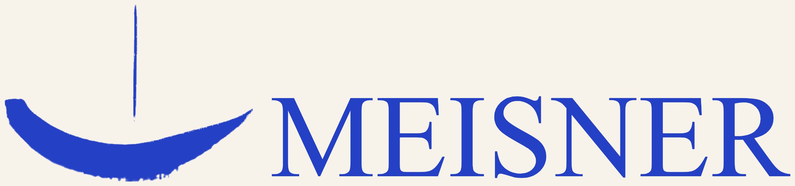 Meisner Consulting